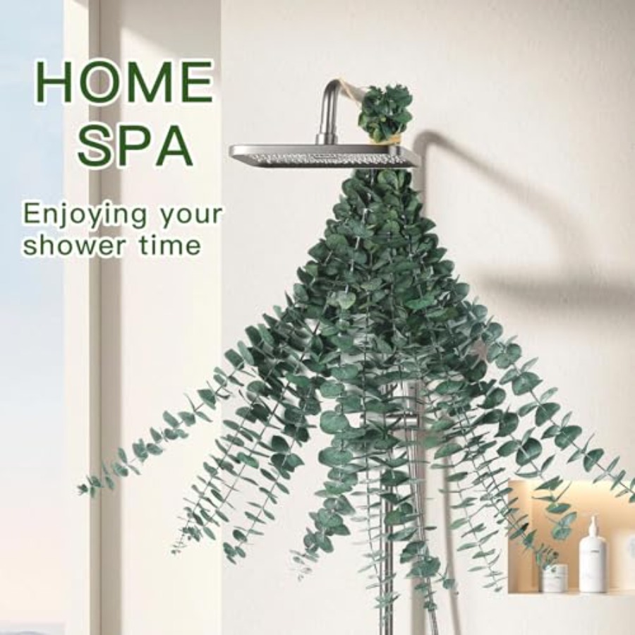 Dried Eucalyptus Stems for Sho - Home Fragrance Eucalyptus review and price