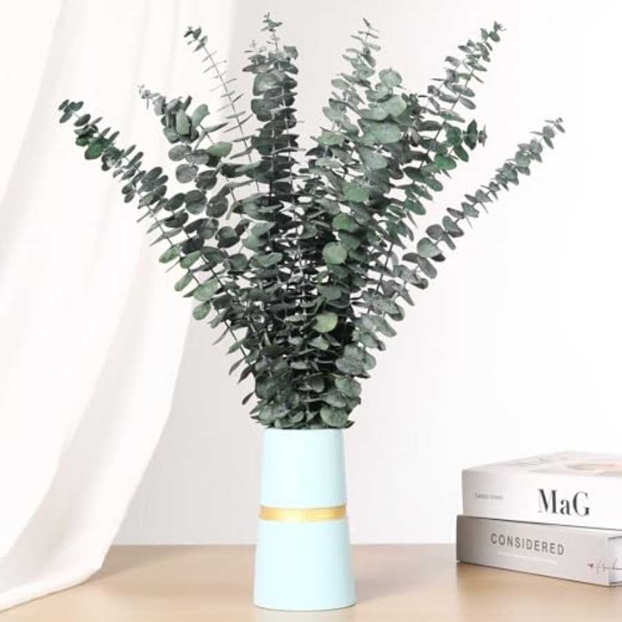 Dried Eucalyptus Stems for Sho - Home Fragrance Eucalyptus review and price