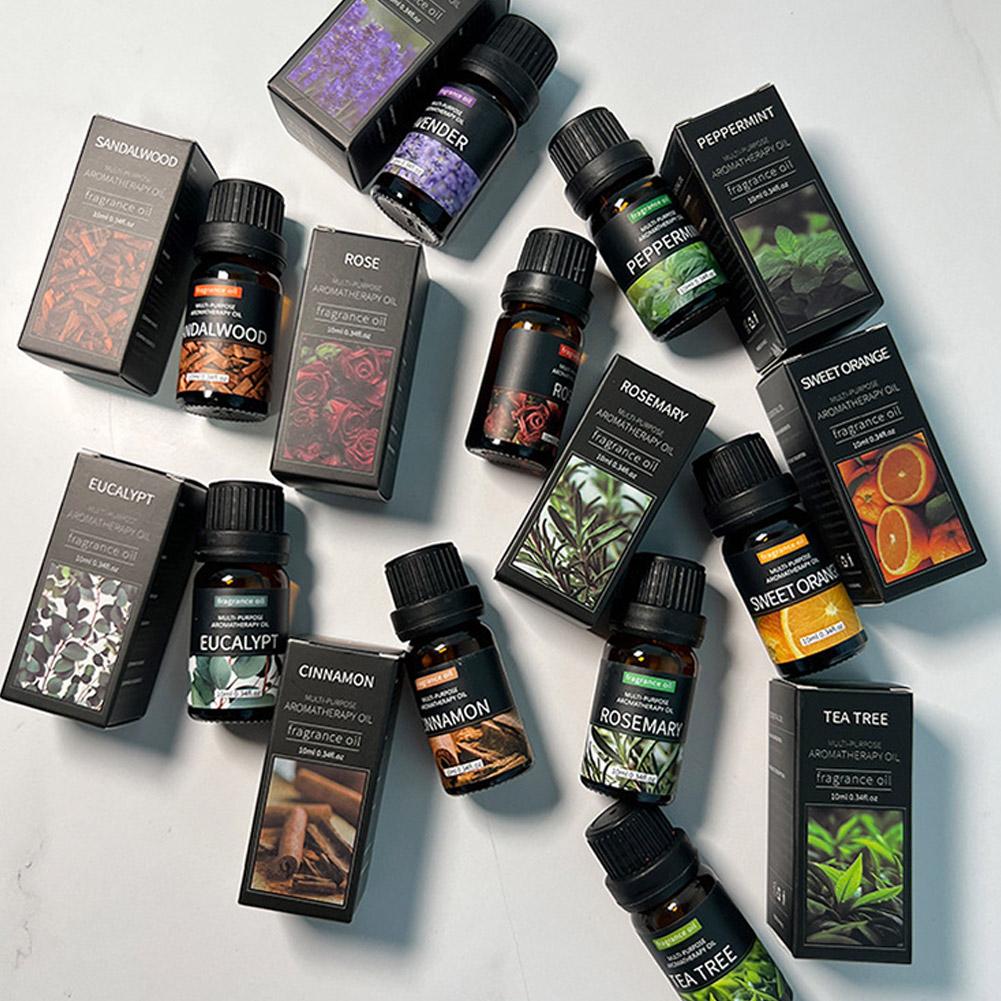 10mL Aromatherapy Essential Oi - Home Fragrance Eucalyptus review and price