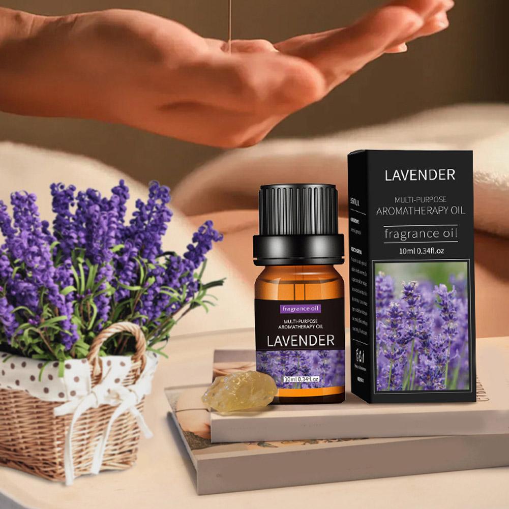 10mL Aromatherapy Essential Oi - Home Fragrance Eucalyptus review and price