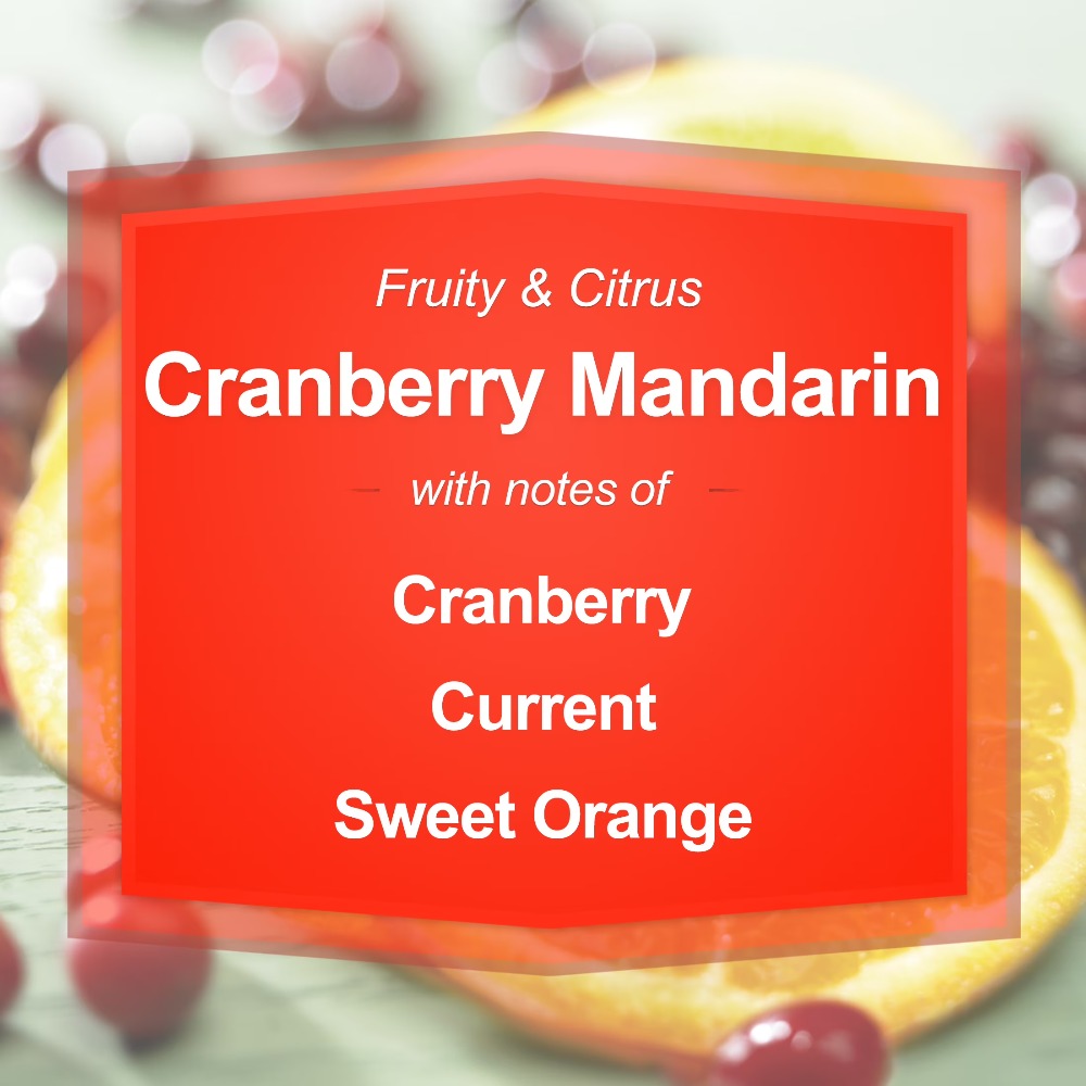 Cranberry Mandarin Scented Can - Home Fragrance Candles review and price