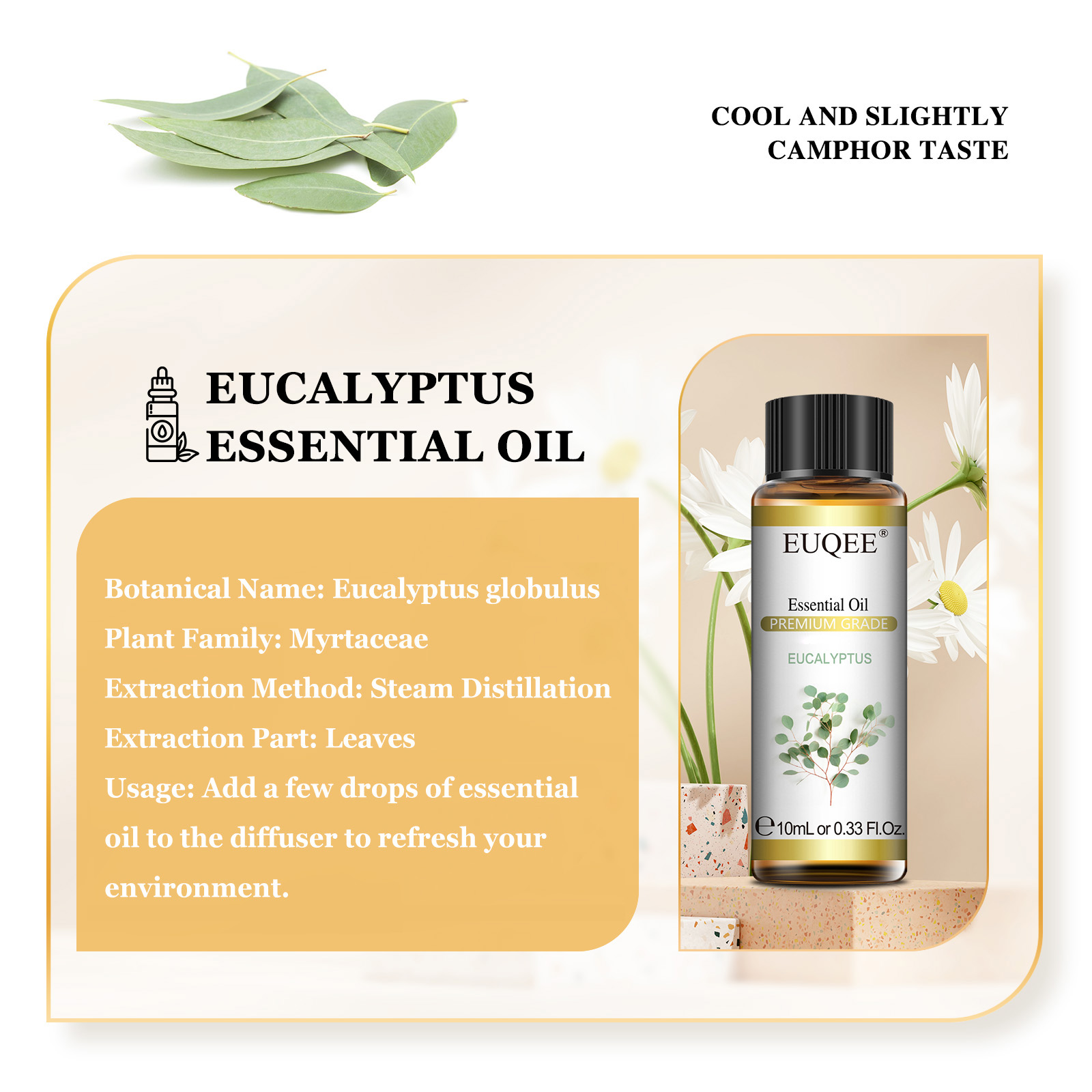 EUQEE 10ML Natural Essential O - Home Fragrance Eucalyptus review and price