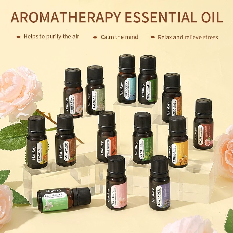 Hankey Oil for Purposes Humidi - Home Fragrance Eucalyptus review and price